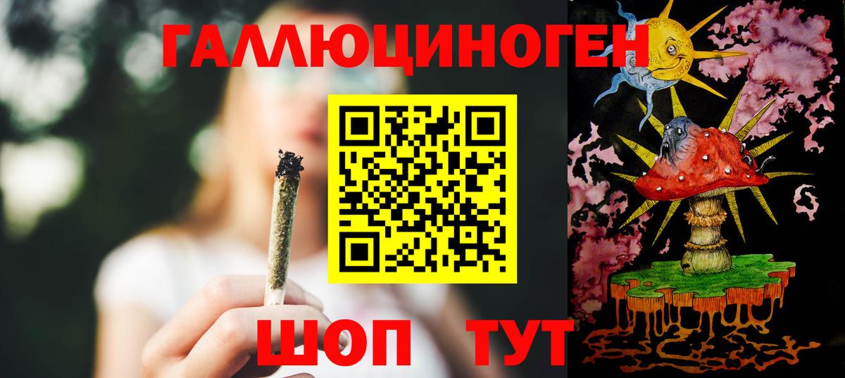 Псилоцибиновые грибы Psilocybe Спасск-Дальний