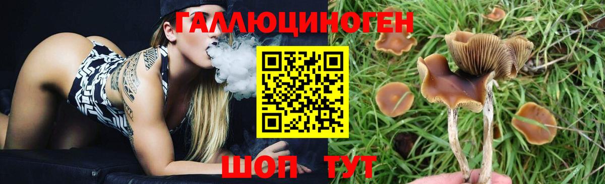 Псилоцибиновые грибы Magic Shrooms  Вход с VPN  Спасск-Дальний 